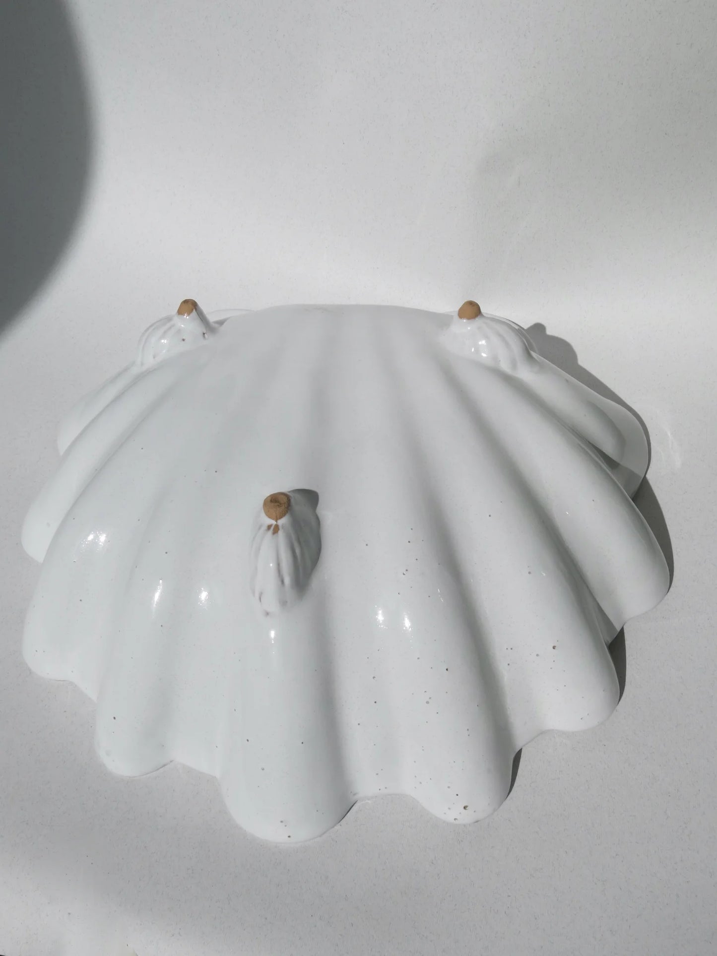 Ciotola a forma di conchiglia in ceramica bianca – parte posteriore