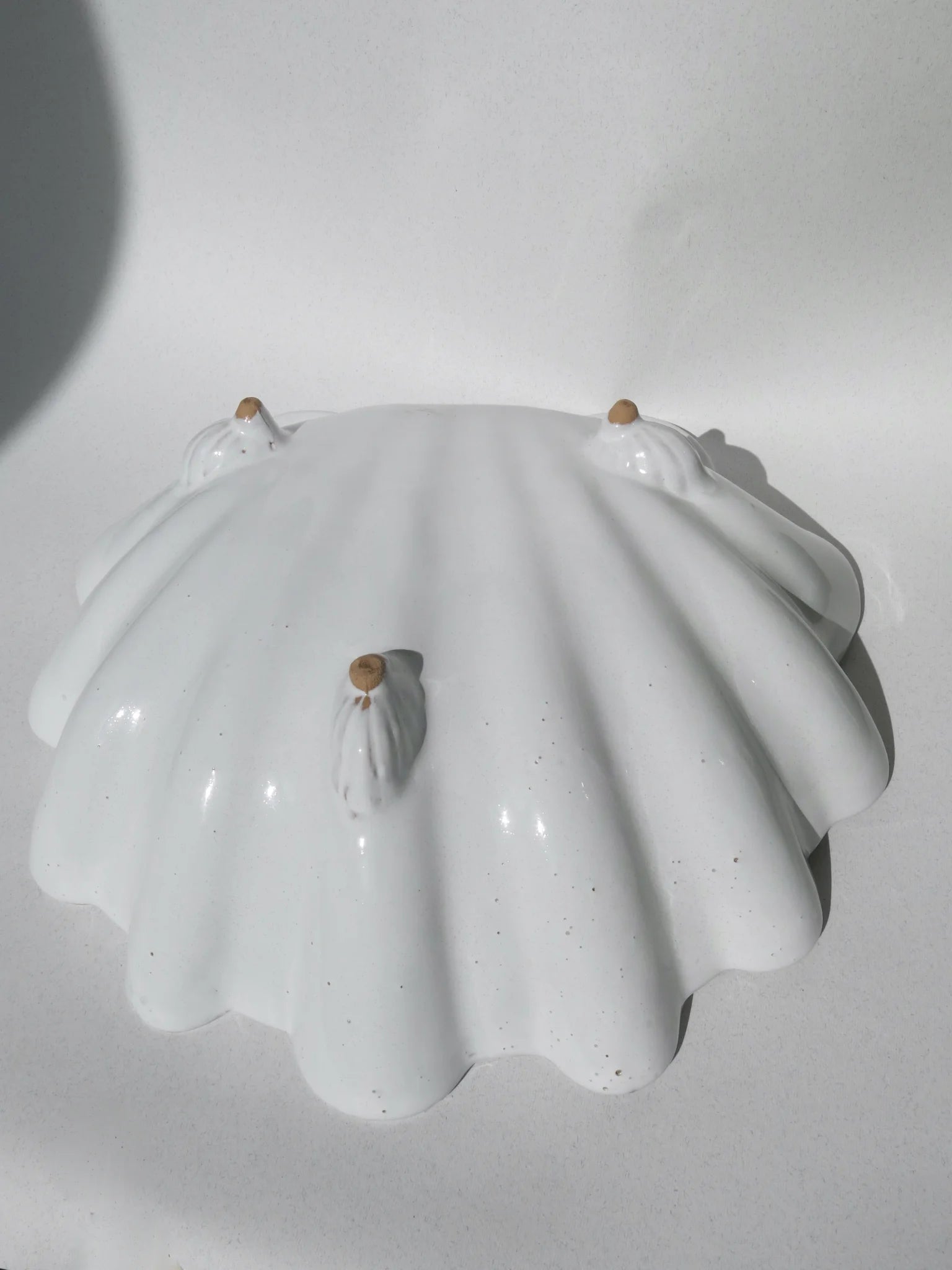 Ciotola a forma di conchiglia in ceramica bianca – parte posteriore