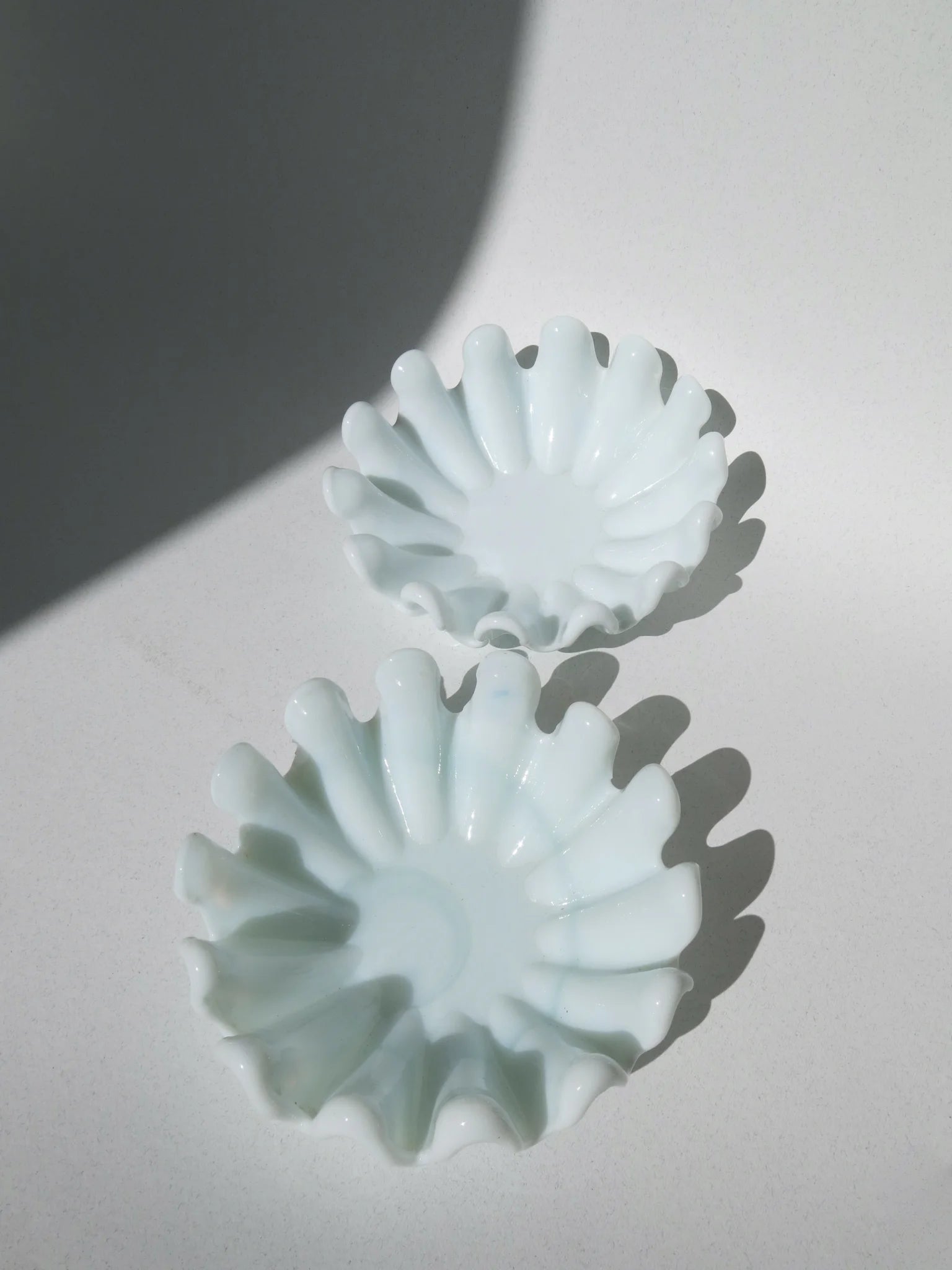 Coppia ciotole in vetro opalino bianco – vista frontale con luce radente, bordo a petali irregolari