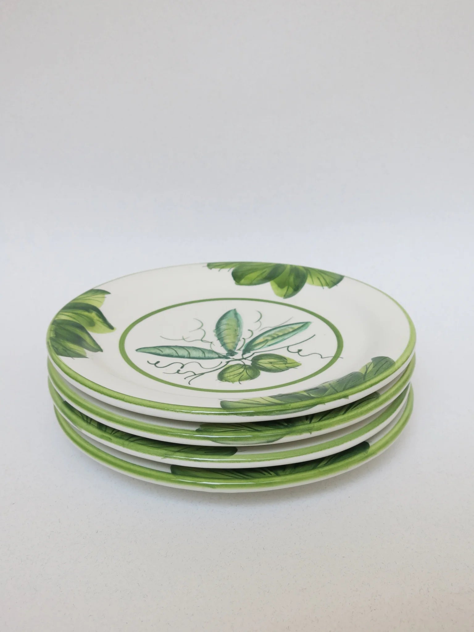 Set piatti Vietri decoro verdure – piatto impilati con bordo verde