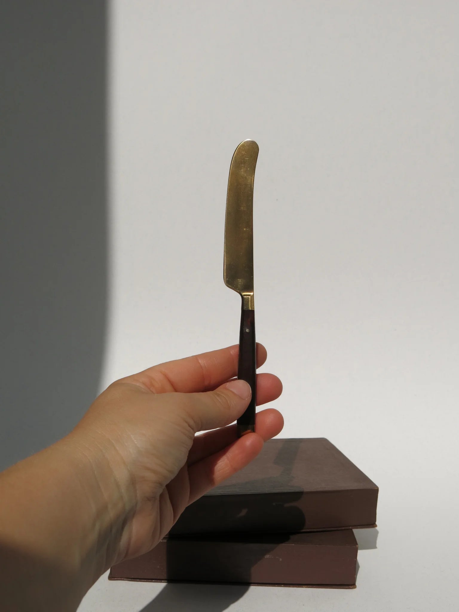 Coltellino da frutta in ottone e legno – in mano per mostrare le proporzioni, circa 13 cm