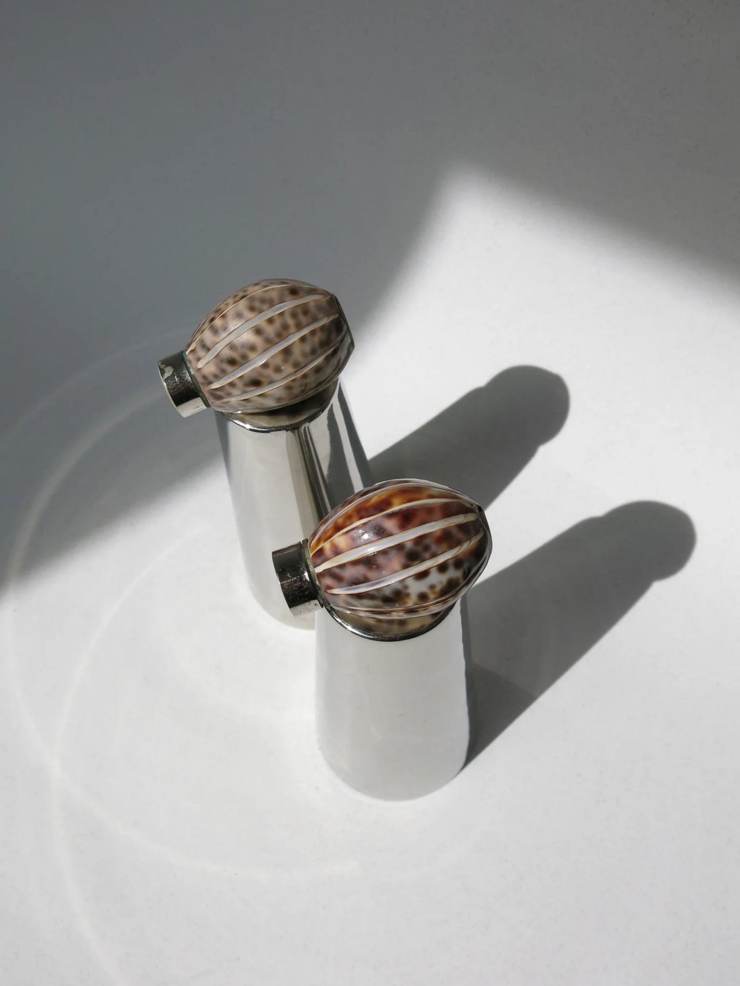 Set sale e pepe in conchiglia – visti dall'alto con striature conchiglia
