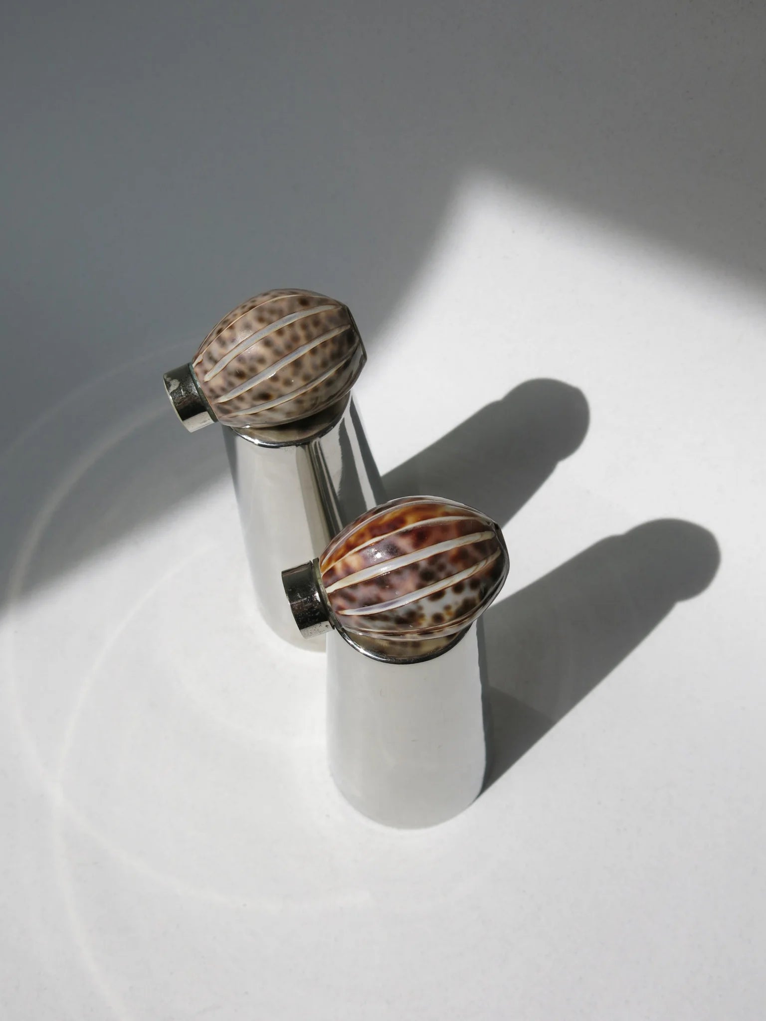Set sale e pepe in conchiglia – visti dall'alto con striature conchiglia